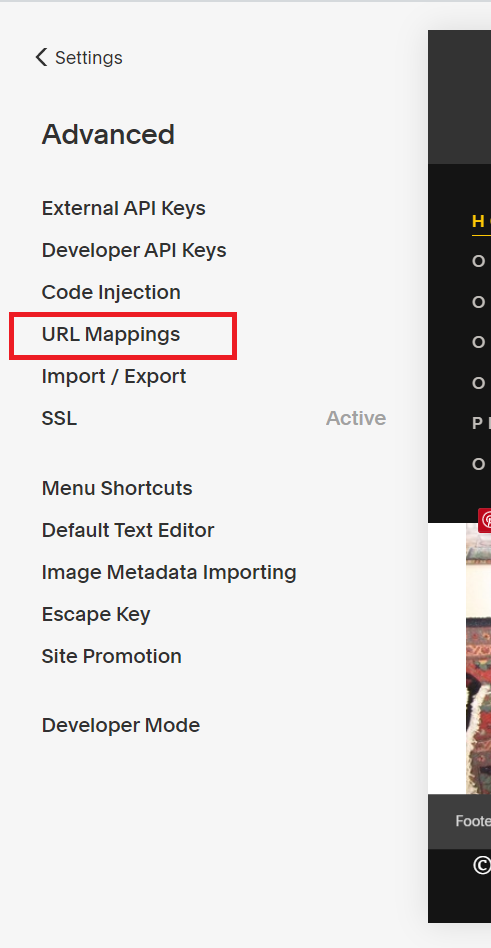 Squarespace URL Mappings Button